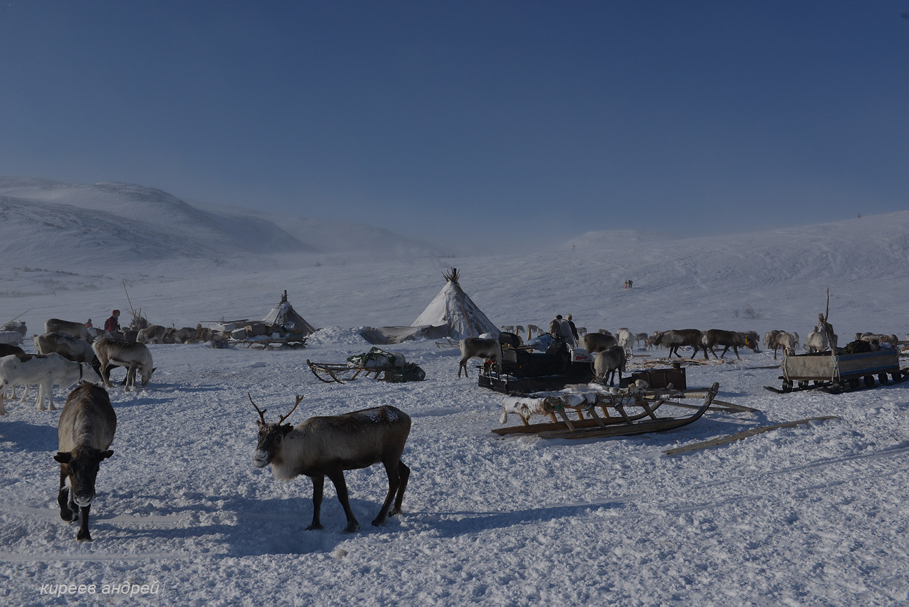 Yamal (Ямал)